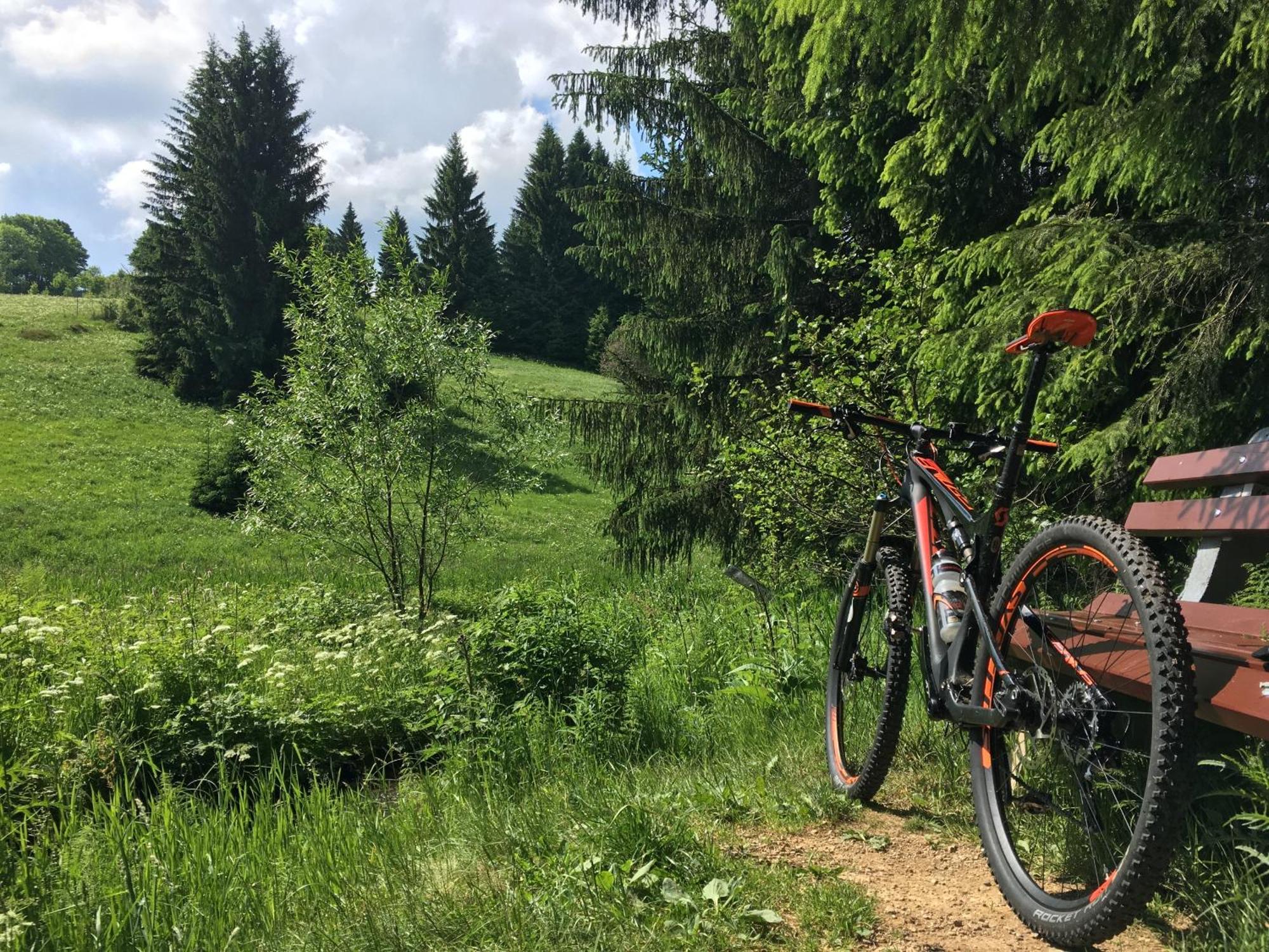 Zur Bergwiese 5 Sterne Appartementhaus Furstenau  Pokoj fotografie